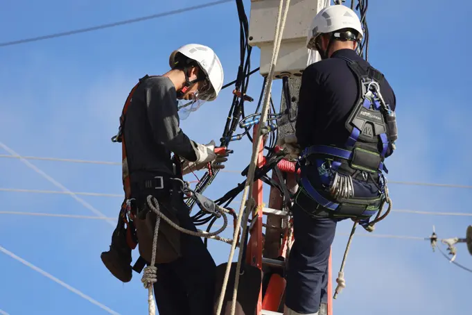 Infraestruturas de Distribuição de Eletricidade